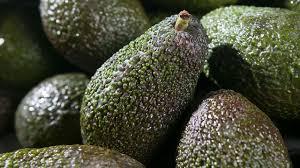 Alfa Laval Cold Press Avocado Oil Processing