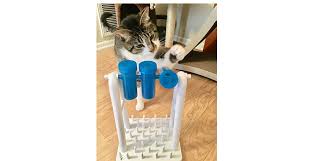 See more ideas about cats, cat puzzle, cat toys. Blog How To Make Your Own Kitty Enrichment Feeders And Toys Meowtel