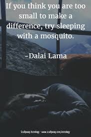 Horoscopes Astrology Articles Scullywag Astrology Astrology Yearly Horoscope Horoscope