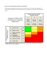 Nomenclature For Kidney Function And Disease Executive Summary And Glossary From A Kidney Disease Improving Global Outcomes Kdigo Consensus Conference