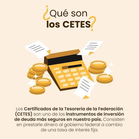 ¿Qué son los cetes?