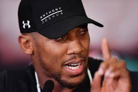 Deontay Wilder delivers verdict