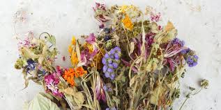 They are dried and preserved so that they will last and last in your dried flowers bring cheer with their bright, natural colors and their everlasting display. Dried Flowers Where To Buy Best Varieties And Arrangement Tips