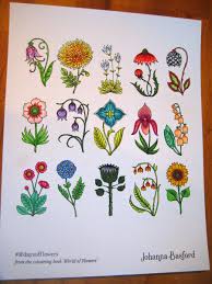 A fantastic floral adventure that is the latest sensational coloring book from bestselling artist johanna basford. 30daysofflowers Twitter Search