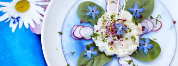 L'utilisation du service de dictionnaire des synonymes coquille est gratuite et réservée à un usage strictement personnel. Comment Ouvrir Une Coquille Saint Jacques Deutsch Office De Tourisme Cap D Erquy Val Andre