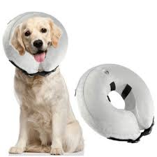 Check spelling or type a new query. Sunsky Inflatable Pet Collar Pet Grooming Warm Protective Wound Protection Collar Size L Cqlq02