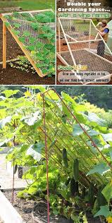 Double Your Gardening Space With A Vine Ramp Garten Garten Ideen Garten Pflanzen
