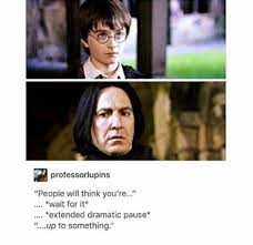 Severus Snape Meme Harry Potter Amino
