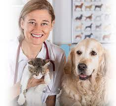 Maybe you would like to learn more about one of these? Westown Veterinary Clinic Animal Hospital In Waukesha Wi