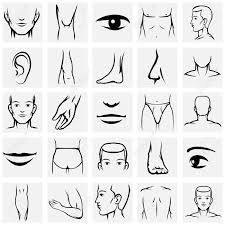 According to the mayo clinic, most men's testosterone levels peak in adolescence and early adulthood. Male Body Parts Icons Set Arm And Foot Leg And Torso Elbow Royalty Free Cliparts Vectors And Stock Illustration Image 42368243