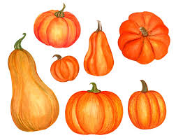 Watercolor Pumpkin Clipart Fall Clipart Watercolor Autumn Etsy In 2021 Watercolor Pumpkins Pumpkin Illustration Pumpkin Drawing