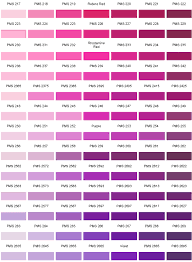 pantone colour chart pantone color chart purple color