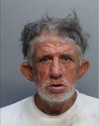 DAVIS, LASHAWNTA SHERELL 34 F Charges BATTERY TOUCH/ STRIKE