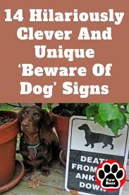 Looking for funny dog quotes? Pin On Best Of Pawbuzz