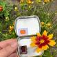 Creating Watercolors with Plant Pigments -- full! — Public Space One