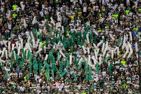 Cruzeiro Voando Alto! Titular Promete Títulos e Jardim Tem Força Total!