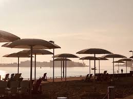 Robin Lavender (@robinlavenderphoto) • Instagram photos and videos