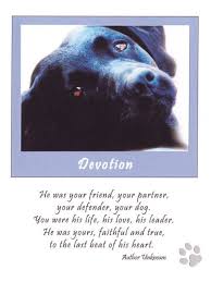 To a large majority of us, pet loss is just as profound as losing a human family member. 21 Quotes That Will Change The Way You Think About Labradors Loss Of Dog Pet Remembrance Dog Sympathy
