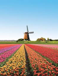 Holidayspots4u Keukenhof Gardens Netherlands Netherlands Travel Places To Travel Places To Visit