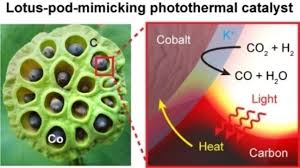 Angewandte Chemie: Vol 135, No 30