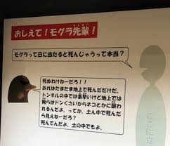死ぬわけねーだろ 毒舌回答で人気キャラに 多摩動物公園 モグラ先輩 考案者を直撃 全文表示 コラム Jタウンネット 東京都