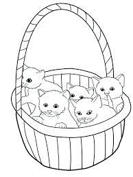 Learn how eye color is determined as well as what to expect as baby develops. Baby Kitten Coloring Pages The Kitten Is A New Born Little Cat This Term Is Used For Cats Under The A Kittens Coloring Kitten Coloring Book Cat Coloring Page