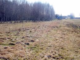 Get directions +48 25 752 54 10. Dzialka Na Sprzedaz Grebiszew G 41126 0 Grupa Pl Nieruchomosci