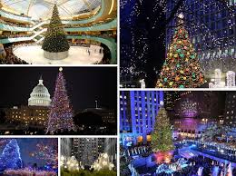 Check spelling or type a new query. Top 10 Most Amazing Christmas Trees In The United States