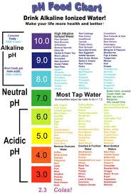 alkaline acidic charts ph food chart alkaline foods