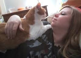 Is my boxer a cat at heart?