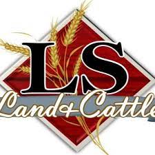 The study focused primarily on the company's u.s. Ls Land Cattle Ls Land Twitter