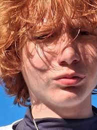 He loves his new bed. ❤️