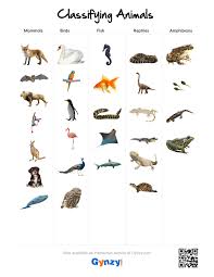 Mammals Birds Fish Reptiles Or Amphibians Https R Gynzy Com 285e12fa Pdf Worksheet Https R Gynzy Com Classifying Animals Mammals Amphibians
