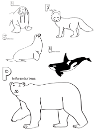 For boys and girls, kids and adults, teenagers and toddlers, preschoolers and older kids at school. Arctic Animals Printable Coloring Pages Arctic Animals Arctic Animals Printables Animal Printables