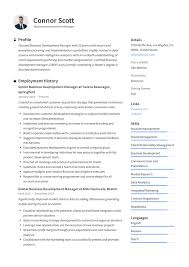 Business Development Manager Resume Template In 2020 Resume Examples Resume Guide Resume Writing