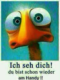 Ich Seh Dich Lustige Spruche Bilder Urkomische Zitate Lustige Spruche