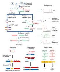 Nothing Found For Data Analysis Analysis Pipelines Technical Considerations For Functional Sequencing Assays