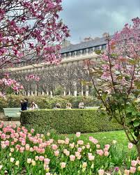 The plants grow to be about a foot tall and have feathery speaking of wonderful aromas, magnolias are massive flowers with the most fragrant blooms, and some like to show up early in the season. Paris In Bloom Where To See Early Spring Flowers Landen Kerr