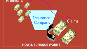Car Insurance Comparison Chart Archives Learn Rpa Online Free