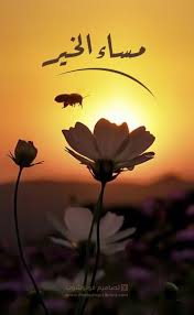 صورة مساء الخير جديده 2020 photoshop plants