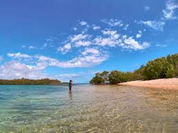 Maybe you would like to learn more about one of these? Kajak Fahren Auf Gilligan S Island Auf Puerto Rico Little Discoveries