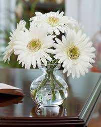 This is the perfect platform for you to choose your fake pink lily flowers of diverse styles for various occasions. Buy Silk Gerbera Daisy Arrangements At Petals