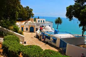 We did not find results for: Tunis Sidi Bou Said Tunisia Free Photo On Pixabay