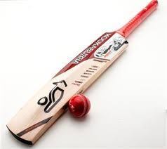 Pin By Bailey Van On Who Am I Cricket Bat Cricket Sport Cricket Equipment