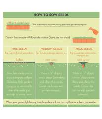The double jack seeds is a cannabis product resulting with the genetics of the popular award winning jack herer hybrid; Jack Fruit Kathal Artocarpus Heterophyllus Grafted Plant Seeds Buy Jack Fruit Kathal Artocarpus Heterophyllus Grafted Plant Seeds Online At Low Price Snapdeal