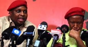 Neil mccartney economic freedom fighters (eff) leader julius malema has sparked a debate about whether the country should move to level 2 lockdown restrictions. Corruption Allegations Take The Shine Off South Africa S Kingmakers