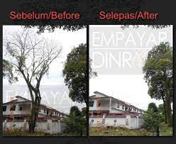 Untuk episod kali ni saya akan buat vlog pasal chainsaw battery yang boleh potong pokok mati. Perkhidmatan Mencantas Menebang Pokok Daerah Johor Bahru