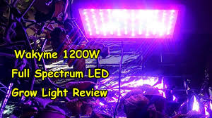 Hydroponic led grow lights review. Wakyme Full Spectrum Led Grow Light Review Youtube