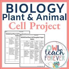 478 x 640 pixel type jpg download. Plant Cell And Animal Cell Project Biology Grades 4 6 By Owl Teach Forever