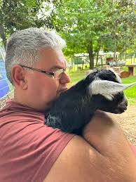 Welcome as members Trevor and Jackie Bunce from Western Australia. One of  the biggest Boer Goat farmer in the world. Almost 1000 ewes (does) in  production ... and zero farm workers.